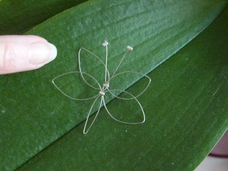 Tuto le papillon