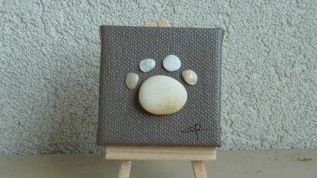 5X5 -Patte de chat