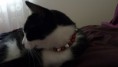 /album/matou-cie/p1050919-jpg/